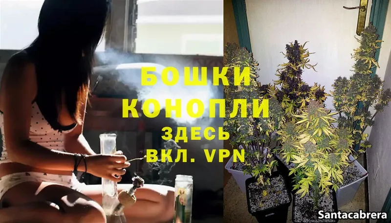 Марихуана White Widow  Мегион 